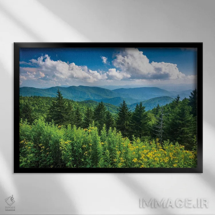 تابلو خوش و بش اثر جان بیلوس - نمای قابدار مشکی