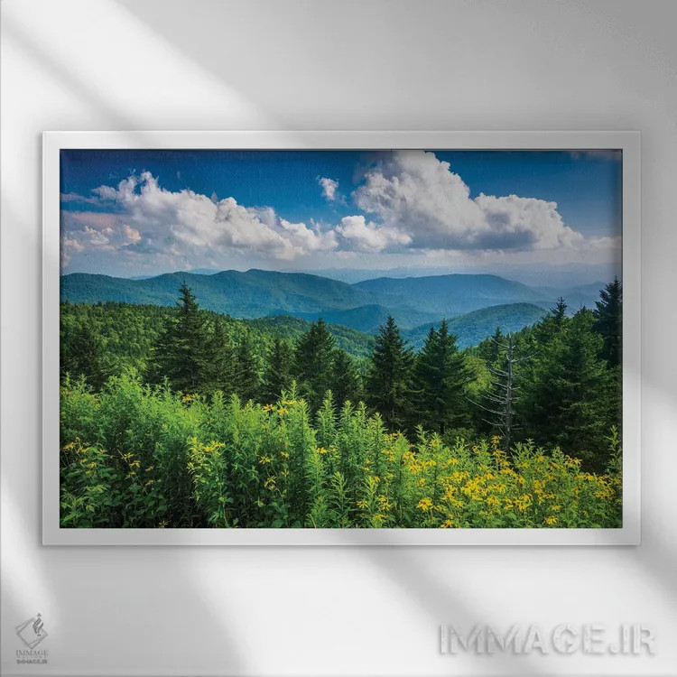 تابلو خوش و بش اثر جان بیلوس - نمای قابدار سفید