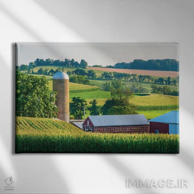 تابلو سیلوی نرم شماره ۲ اثر جان بیلوس - نمای روبهرو روی دیوار