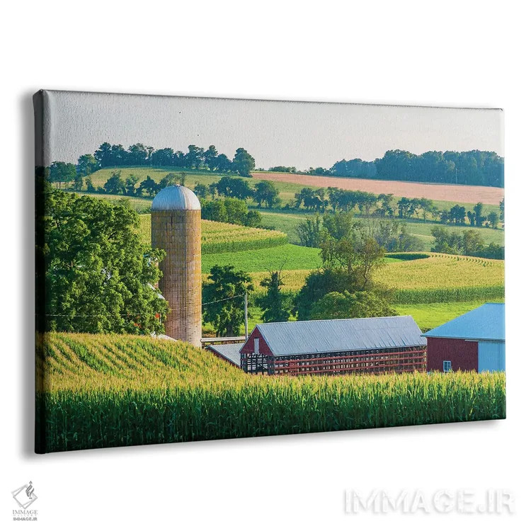 تابلو سیلوی نرم شماره ۲ اثر جان بیلوس - نمای پرسپکتیو محصول