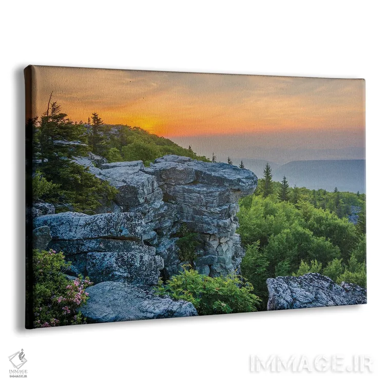 تابلو محوطه حفاظتشده بیِر راکس اثر جان بیلوس - نمای پرسپکتیو محصول