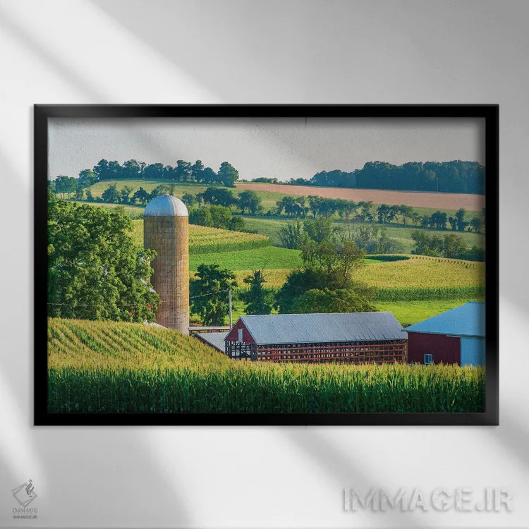 تابلو سیلوی نرم شماره ۲ اثر جان بیلوس - نمای قابدار مشکی