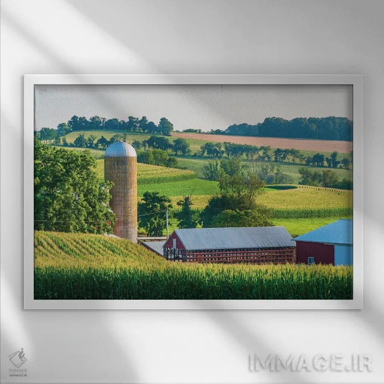 تابلو سیلوی نرم شماره ۲ اثر جان بیلوس - نمای قابدار سفید