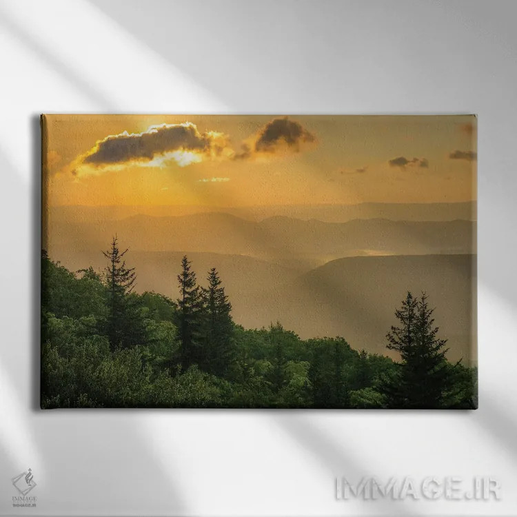 تابلو محوطه حفاظتشده بیِر راکس III اثر جان بیلوس - نمای روبهرو روی دیوار