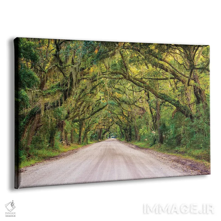 تابلو به سوی خلیج بوتانی اثر جان بیلوس - نمای پرسپکتیو محصول