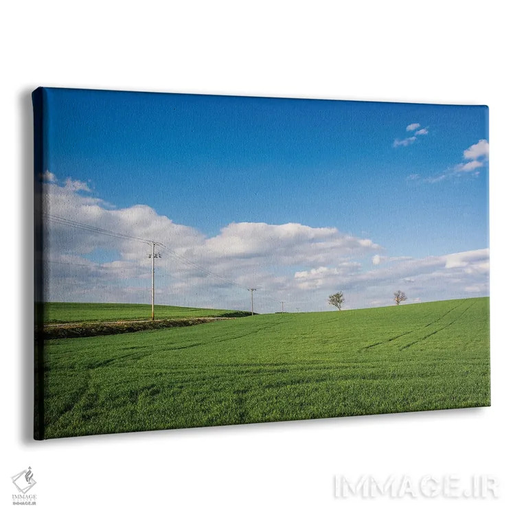 تابلو سبز بزرگ اثر جان بیلوس - نمای پرسپکتیو محصول