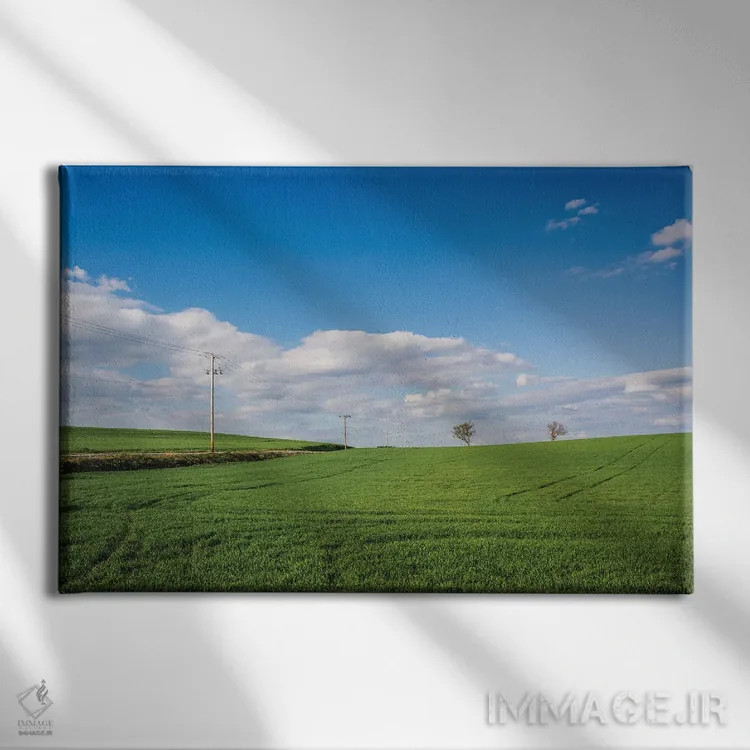 تابلو سبز بزرگ اثر جان بیلوس - نمای روبهرو روی دیوار