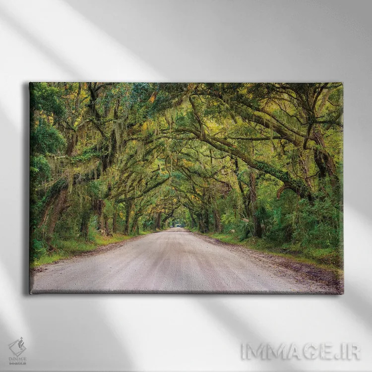 تابلو به سوی خلیج بوتانی اثر جان بیلوس - نمای روبهرو روی دیوار