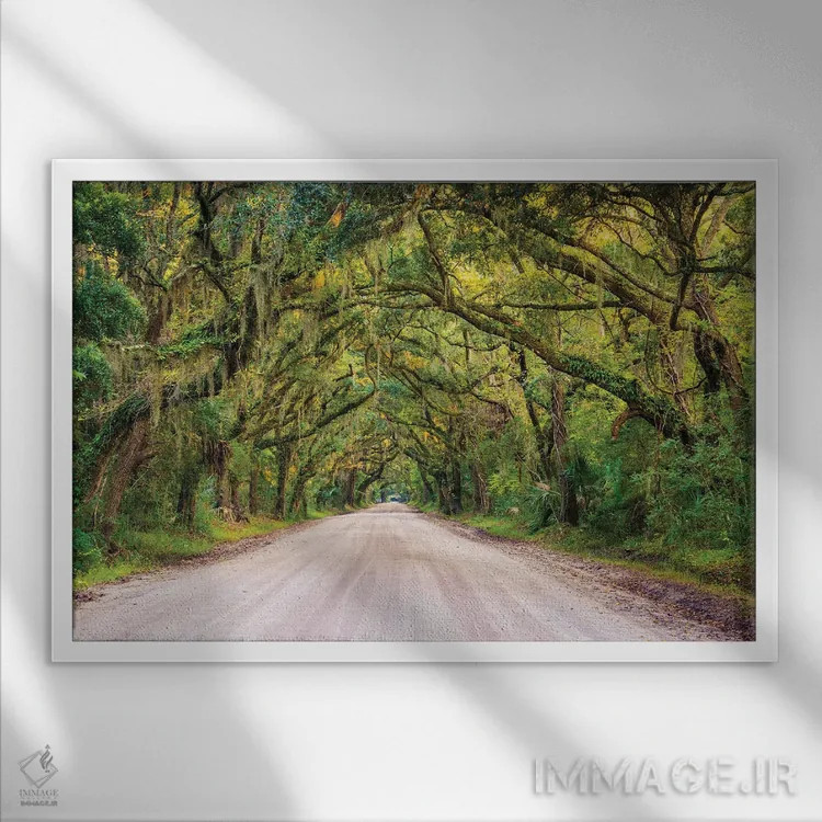 تابلو به سوی خلیج بوتانی اثر جان بیلوس - نمای قابدار سفید