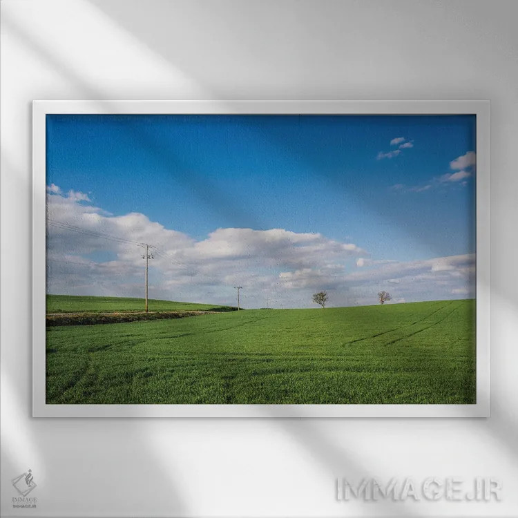 تابلو سبز بزرگ اثر جان بیلوس - نمای قابدار سفید