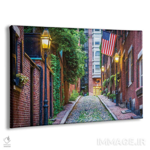 تابلو خیابان آکورن (بلوط) اثر جان بیلوس - نمای پرسپکتیو محصول