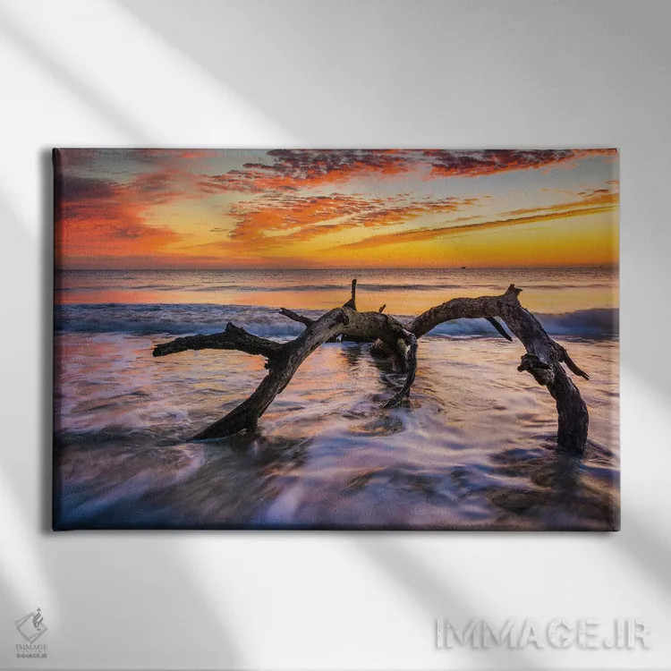 تابلو ساحل چوبهای رانده شده اثر جان بیلوس - نمای روبهرو روی دیوار
