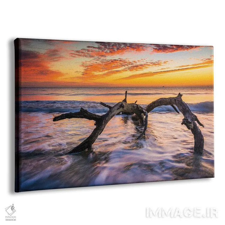 تابلو ساحل چوبهای رانده شده اثر جان بیلوس - نمای پرسپکتیو محصول