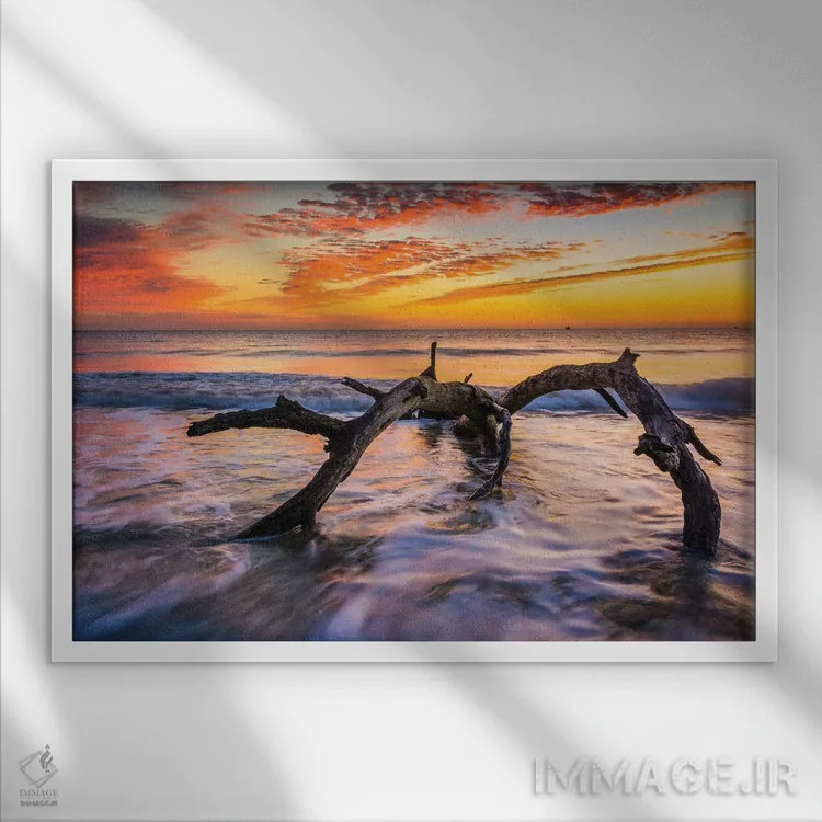 تابلو ساحل چوبهای رانده شده اثر جان بیلوس - نمای قابدار سفید