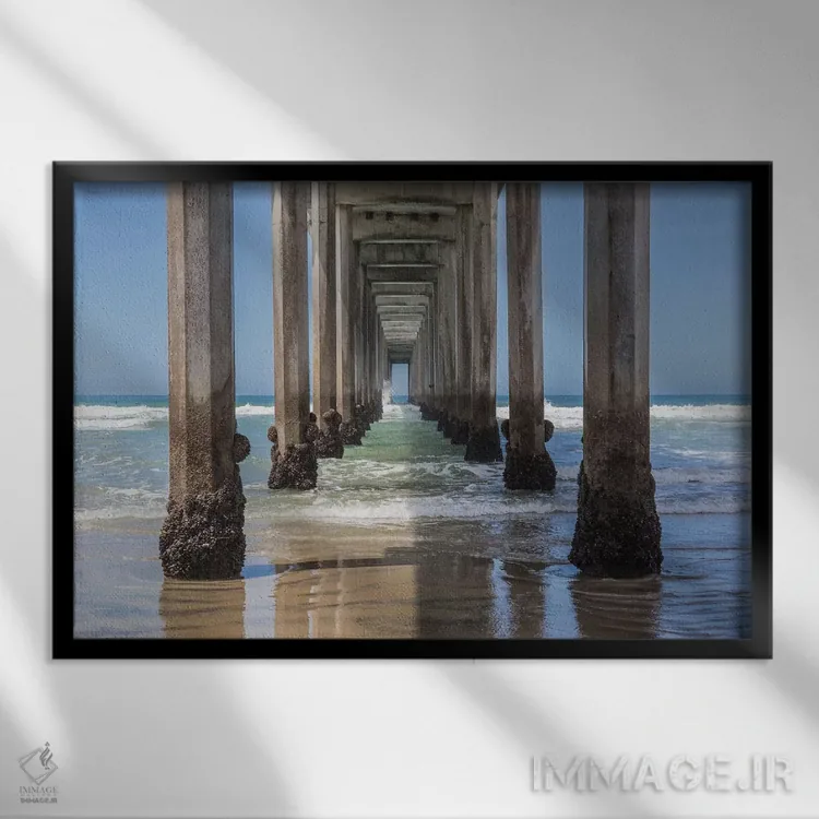 تابلو La Jolla,زیر اسکله اسکریپس، لاجولا (نام مکان) اثر باربارا مارکوف - نمای قابدار مشکی
