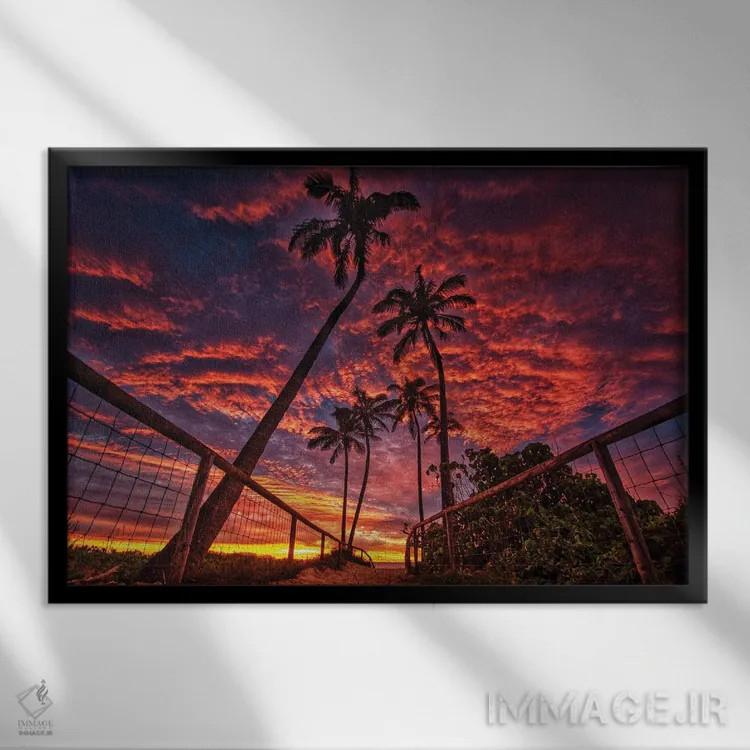 تابلو سایهروشن نخلها اثر بن مولدر - نمای قابدار مشکی