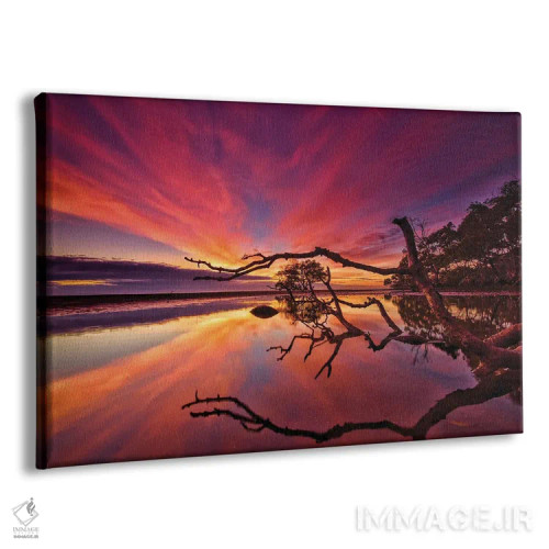 تابلو شاخهها و درختان اثر بن مولدر - نمای پرسپکتیو محصول