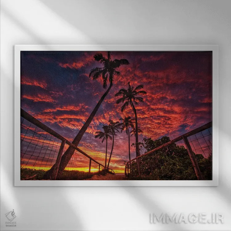 تابلو سایهروشن نخلها اثر بن مولدر - نمای قابدار سفید