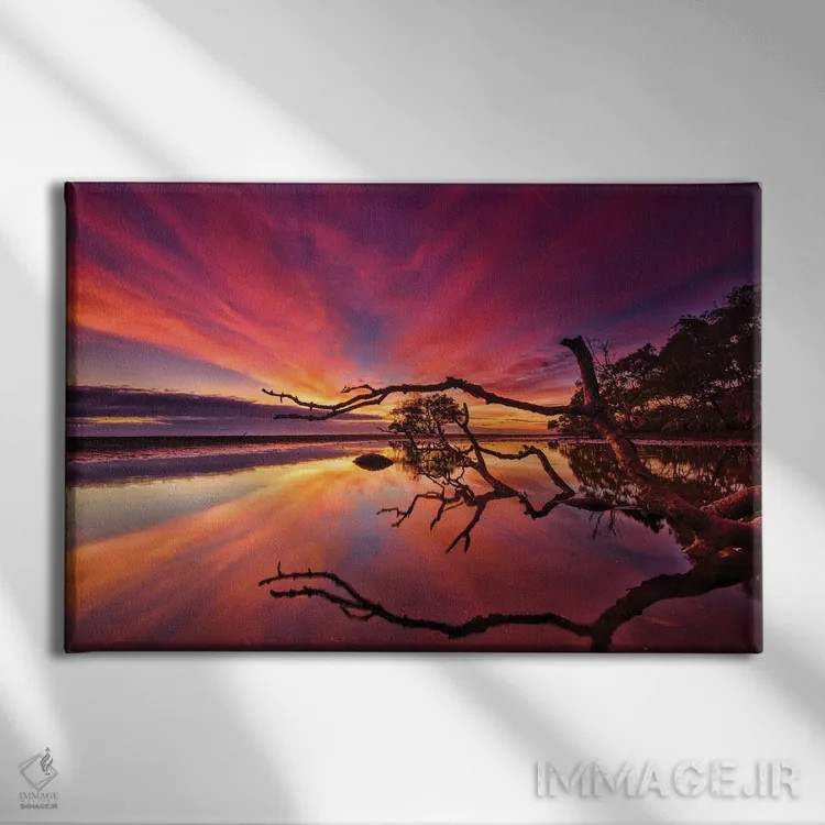 تابلو شاخهها و درختان اثر بن مولدر - نمای روبهرو روی دیوار