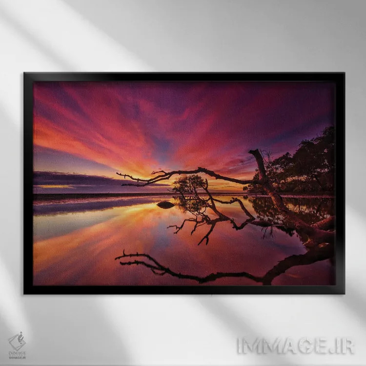 تابلو شاخهها و درختان اثر بن مولدر - نمای قابدار مشکی