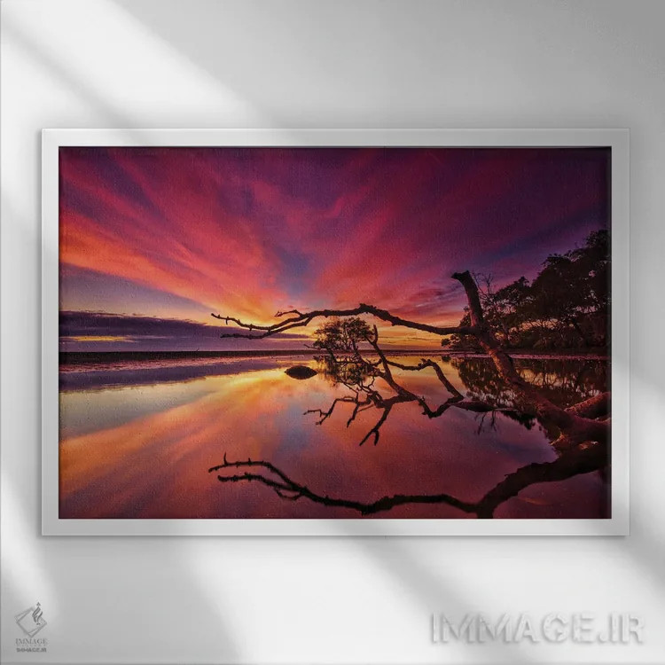 تابلو شاخهها و درختان اثر بن مولدر - نمای قابدار سفید