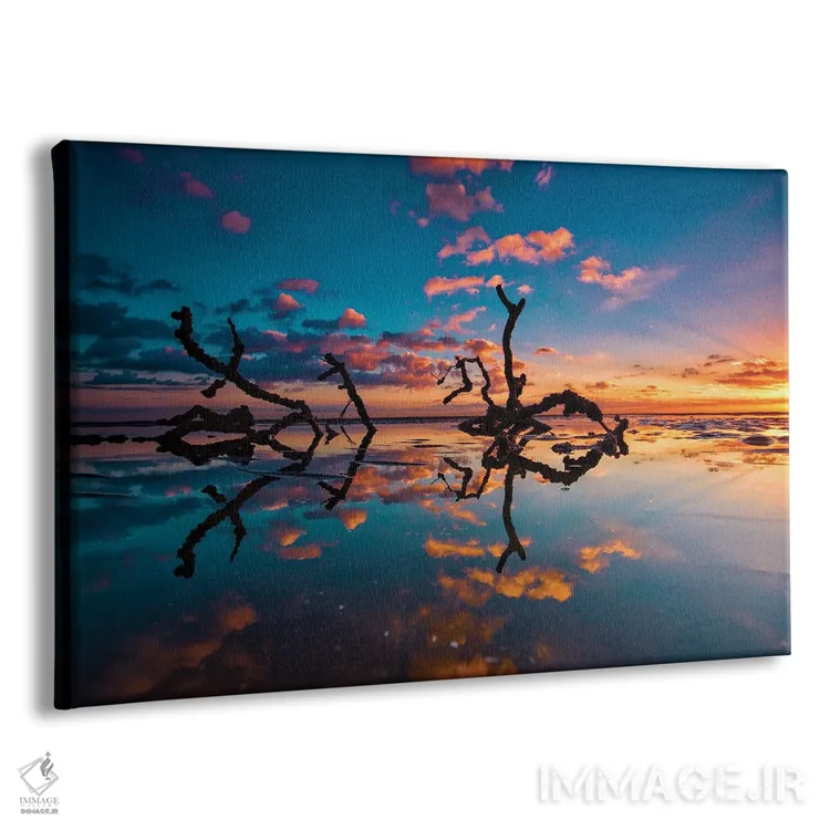 تابلو شاخهها در آب اثر بن مولدر - نمای پرسپکتیو محصول