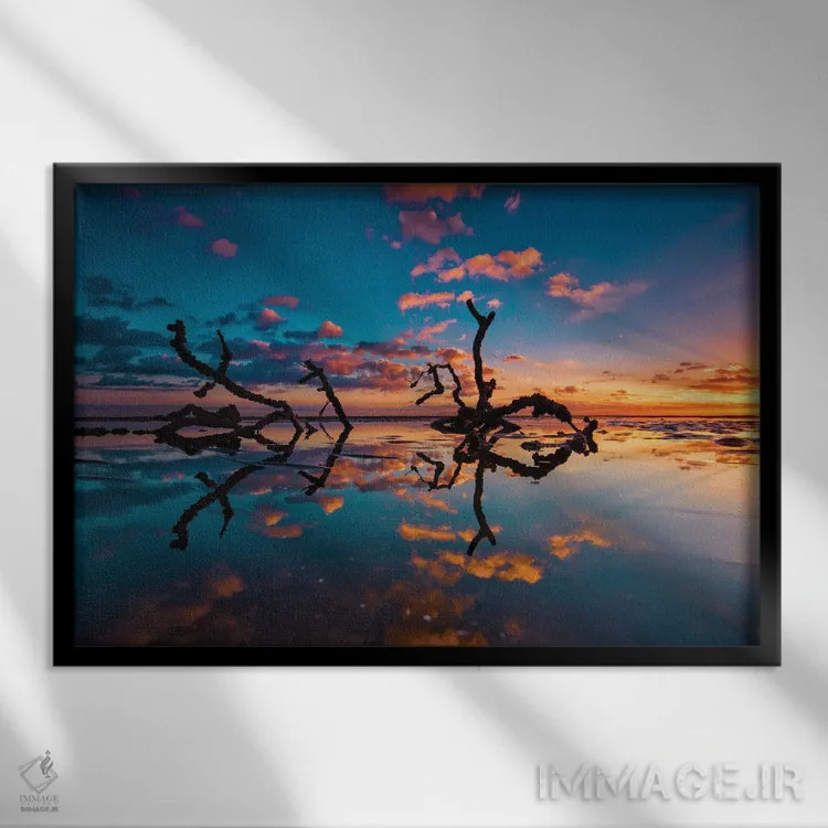 تابلو شاخهها در آب اثر بن مولدر - نمای قابدار مشکی