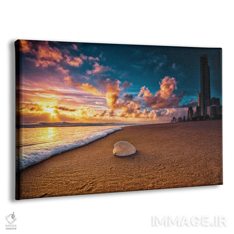 تابلو صدف ساحلی اثر بن مولدر - نمای پرسپکتیو محصول