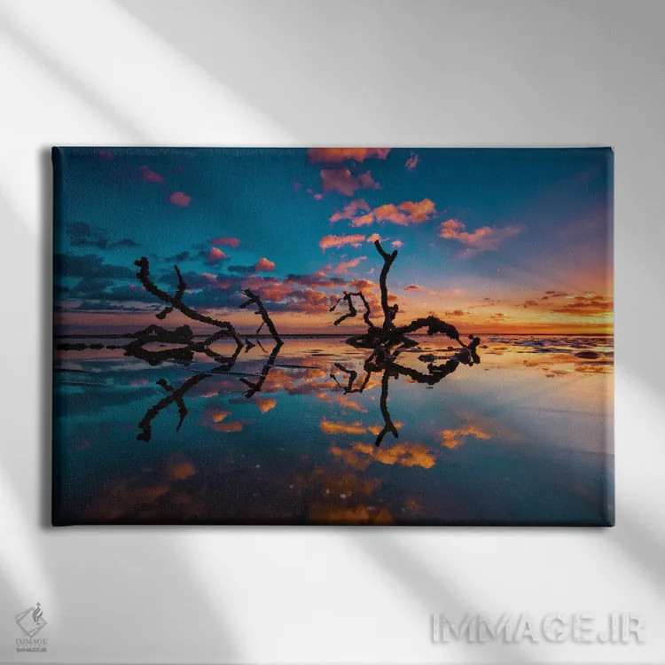 تابلو شاخهها در آب اثر بن مولدر - نمای روبهرو روی دیوار