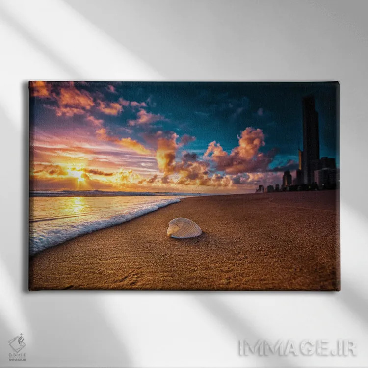 تابلو صدف ساحلی اثر بن مولدر - نمای روبهرو روی دیوار