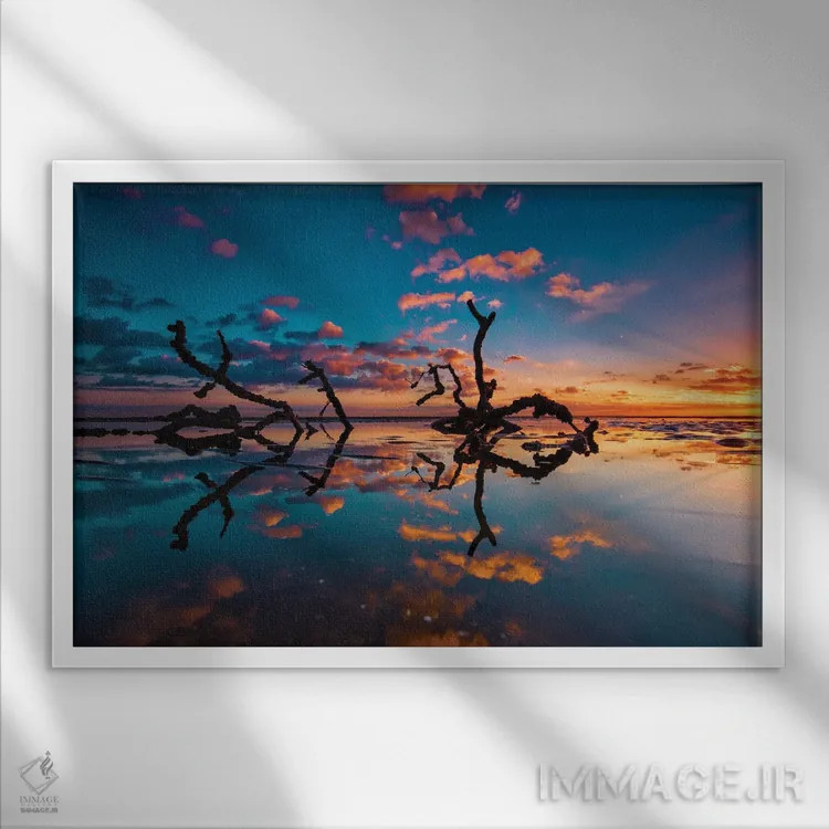 تابلو شاخهها در آب اثر بن مولدر - نمای قابدار سفید