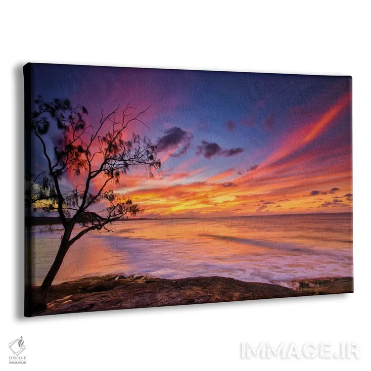 تابلو درخت کنار اقیانوس اثر بن مولدر - نمای پرسپکتیو محصول