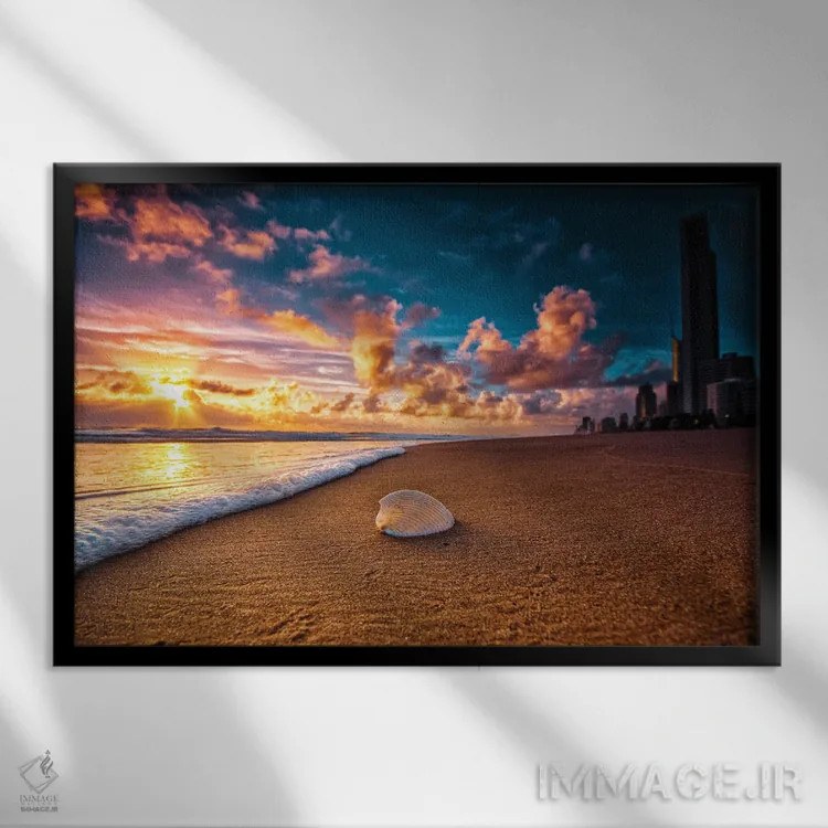 تابلو صدف ساحلی اثر بن مولدر - نمای قابدار مشکی