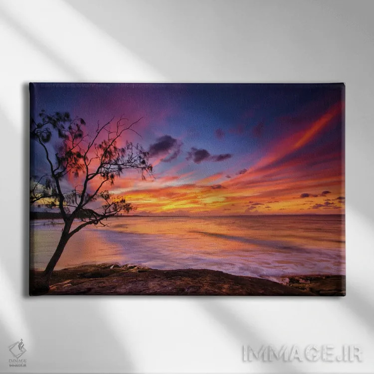 تابلو درخت کنار اقیانوس اثر بن مولدر - نمای روبهرو روی دیوار
