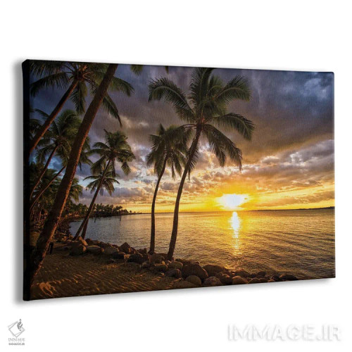 تابلو درختان نخل و غروب اثر بن مولدر - نمای پرسپکتیو محصول