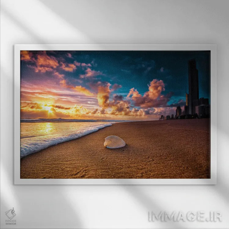 تابلو صدف ساحلی اثر بن مولدر - نمای قابدار سفید