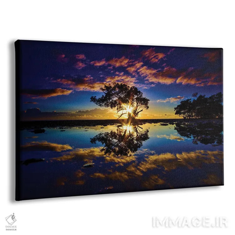 تابلو درخت در آب اثر بن مولدر - نمای پرسپکتیو محصول