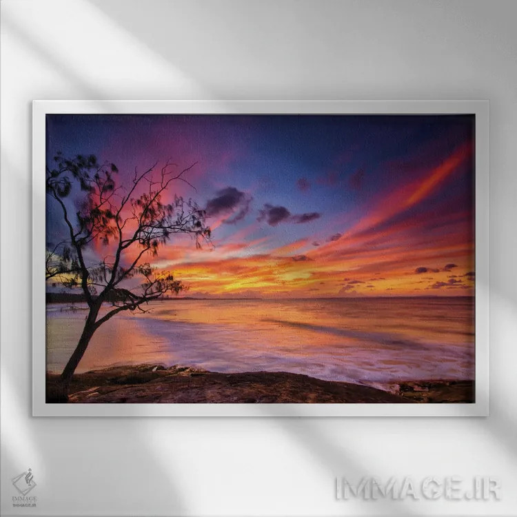 تابلو درخت کنار اقیانوس اثر بن مولدر - نمای قابدار سفید