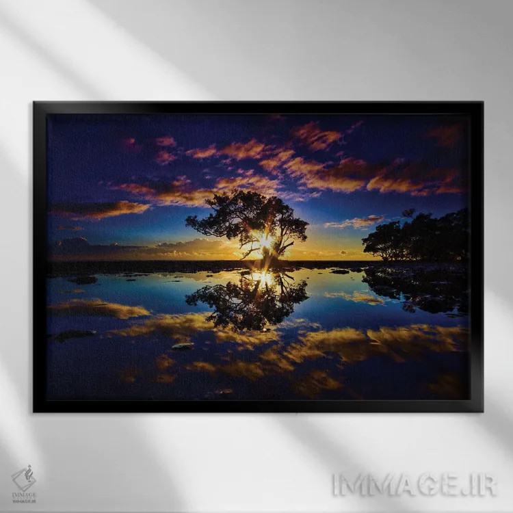 تابلو درخت در آب اثر بن مولدر - نمای قابدار مشکی