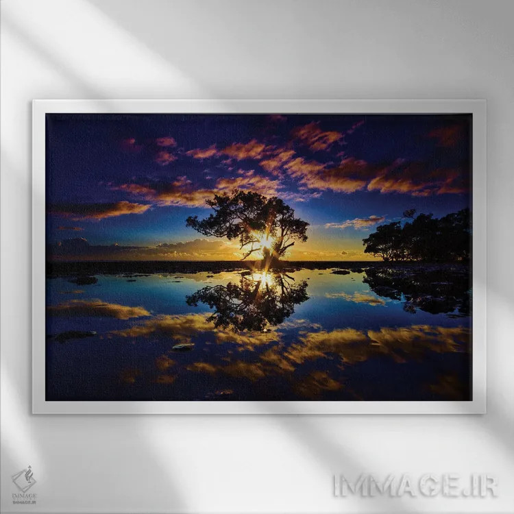 تابلو درخت در آب اثر بن مولدر - نمای قابدار سفید