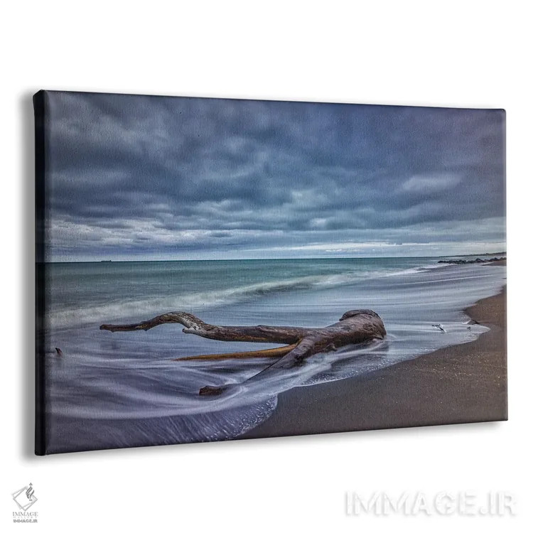 تابلو تنهٔ درخت در اقیانوس اثر بن مولدر - نمای پرسپکتیو محصول