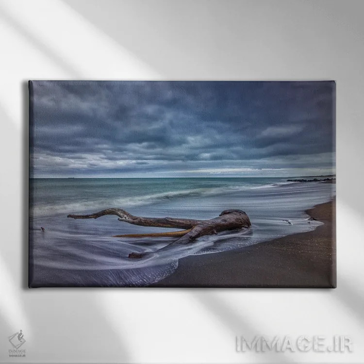 تابلو تنهٔ درخت در اقیانوس اثر بن مولدر - نمای روبهرو روی دیوار