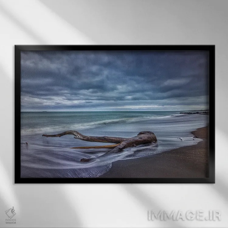 تابلو تنهٔ درخت در اقیانوس اثر بن مولدر - نمای قابدار مشکی