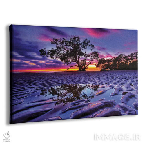 تابلو درخت در شن اثر بن مولدر - نمای پرسپکتیو محصول