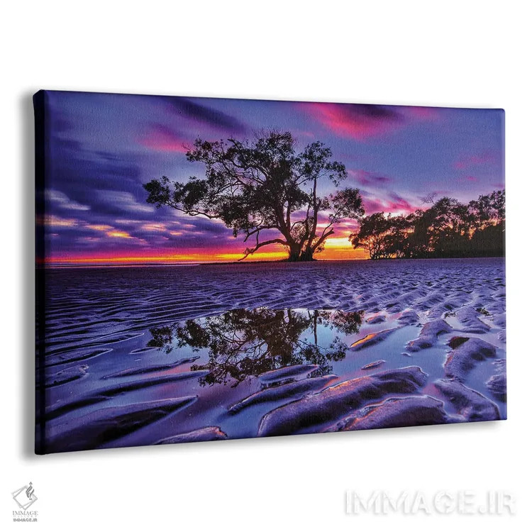 تابلو درخت در شن اثر بن مولدر - نمای پرسپکتیو محصول