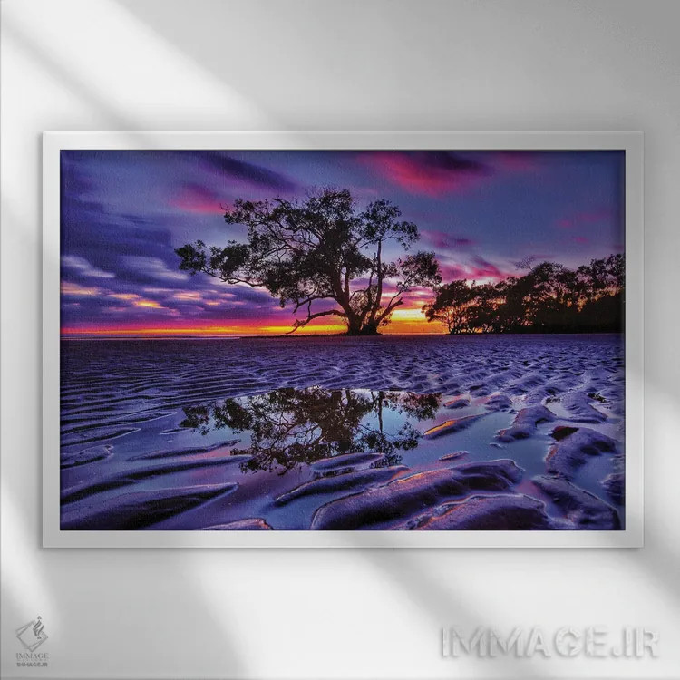 تابلو درخت در شن اثر بن مولدر - نمای قابدار سفید