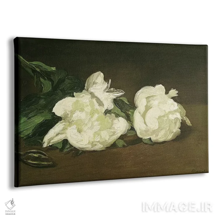 تابلو 1864,شاخهای از گل صدتومانی سفید و قیچی باغبانی، ۱۸۶۴ اثر ادوارد مانه (نقاش معروف فرانسوی) - نمای پرسپکتیو محصول