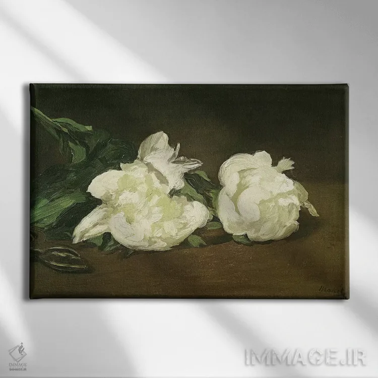 تابلو 1864,شاخهای از گل صدتومانی سفید و قیچی باغبانی، ۱۸۶۴ اثر ادوارد مانه (نقاش معروف فرانسوی) - نمای روبهرو روی دیوار