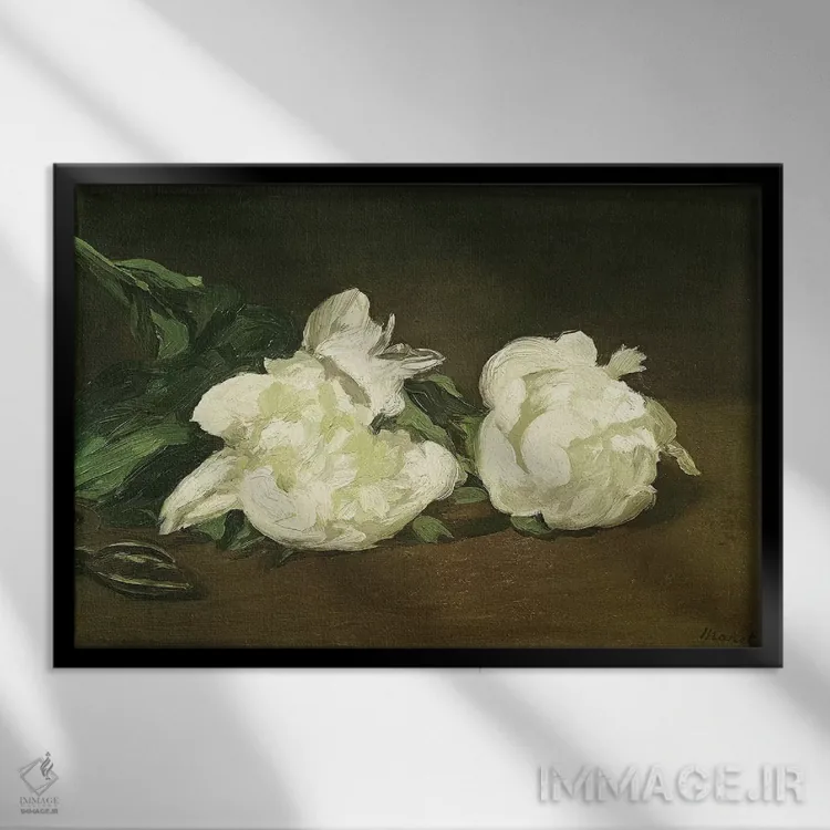 تابلو 1864,شاخهای از گل صدتومانی سفید و قیچی باغبانی، ۱۸۶۴ اثر ادوارد مانه (نقاش معروف فرانسوی) - نمای قابدار مشکی