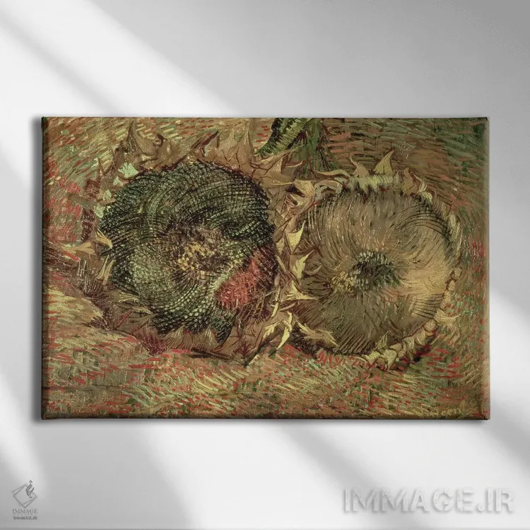 تابلو 1887,دو گل آفتابگردان بریده، ۱۸۸۷ اثر ونسان ون گوگ (نقاش مشهور هلندی پستامپرسیونیسم) - نمای روبهرو روی دیوار